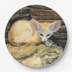 かわいいfennecの孤 ペーパープレート