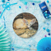 かわいいfennecの孤 ペーパープレート (パーティー)