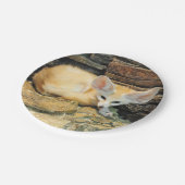 かわいいfennecの孤 ペーパープレート (アングル)