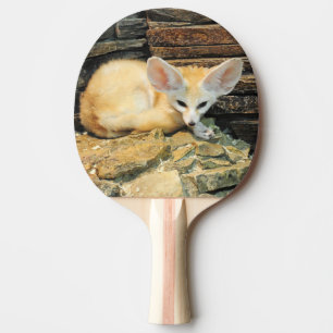 かわいいfennecの孤 卓球ラケット