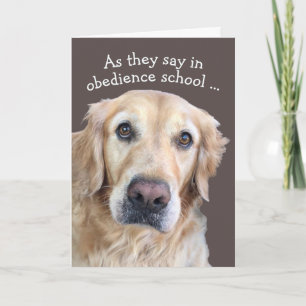 かわいいGet Well Card カード