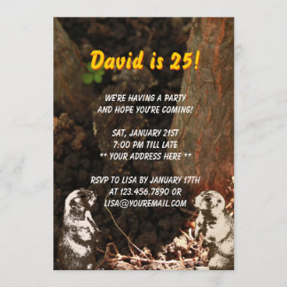 かわいいGroundhogsの誕生日のパーティの招待状 招待状