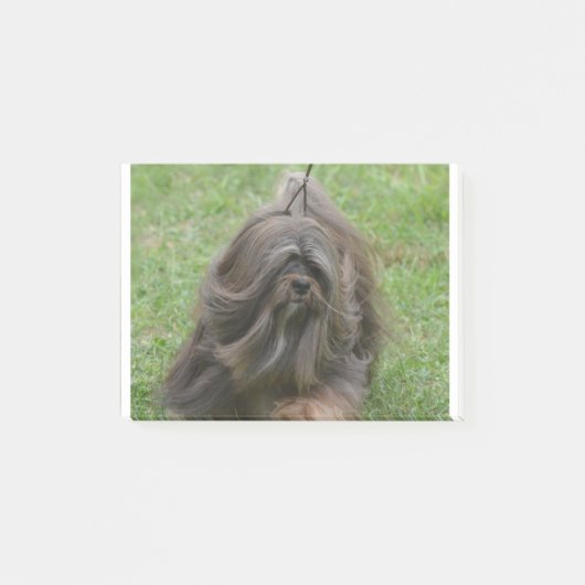 かわいいHavanese ポストイット (正面)