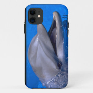 かわいいiPhone 5のケースの美しいイルカ iPhone 11 ケース