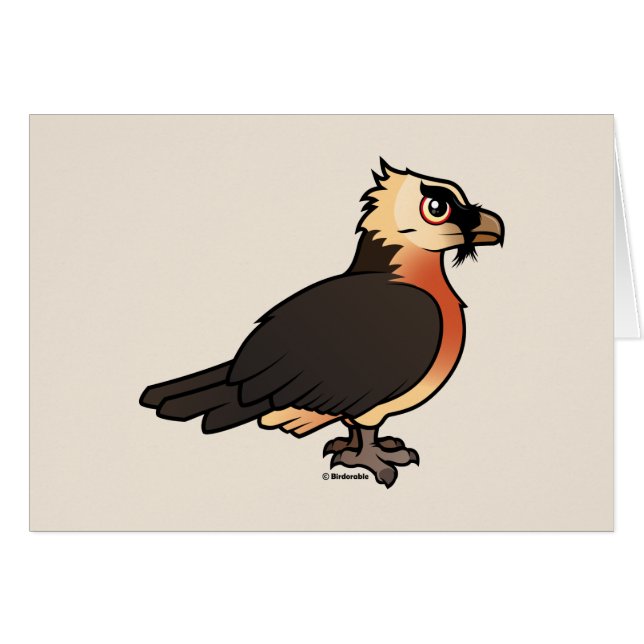 かわいいLammergeier (正面横)