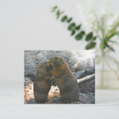 かわいいmarmotのカップルが付いている郵便はがき ポストカード (スタンド正面)
