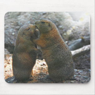 かわいいmarmotのカップルとのマウスパッド マウスパッド