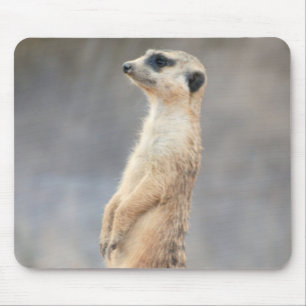 かわいいMeerkatのマウスパッド マウスパッド