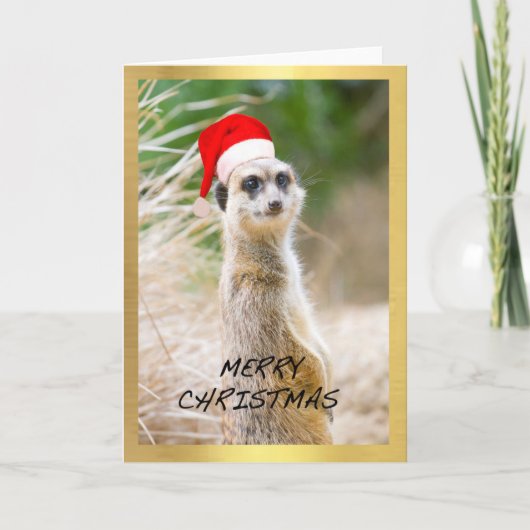 "かわいいMeerkat"のデザインのクリスマスカード シーズンカード (正面)