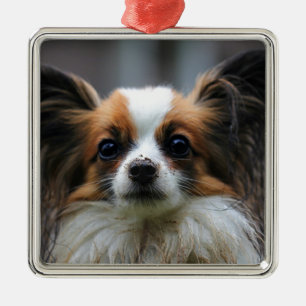 かわいいpapillon犬 メタルオーナメント