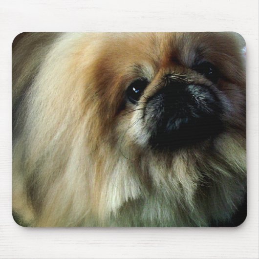 かわいいPekingeseのマウスパッド マウスパッド (正面)