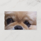 かわいいPekingeseの子犬の名刺 名刺 (裏面)