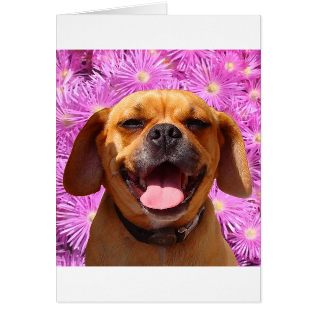 かわいいPuggle (正面)