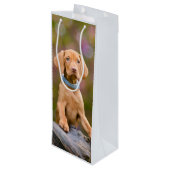 かわいいpuppyeyedハンガリー人のVizsla犬の子犬の写真の ワインギフトバッグ (裏面アングル)