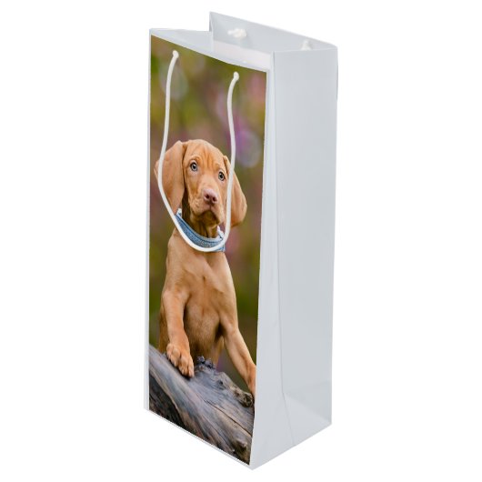 かわいいpuppyeyedハンガリー人のVizsla犬の子犬の写真の ワインギフトバッグ (正面アングル)