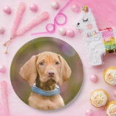 かわいいpuppyeyedハンガリー人のVizsla犬の子犬の写真" ペーパープレート (パーティー)