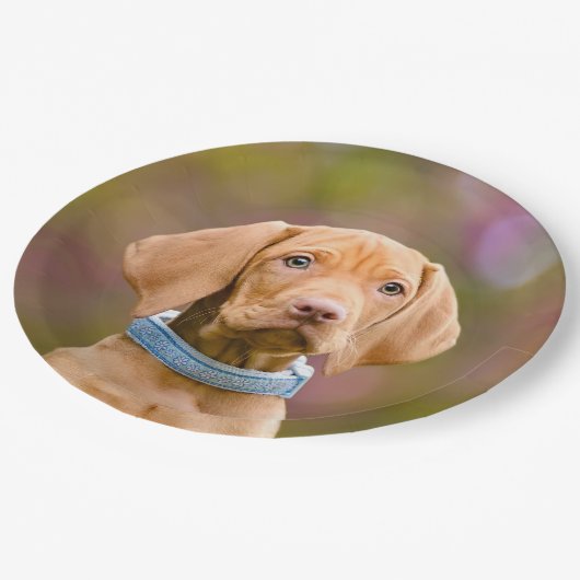 かわいいpuppyeyedハンガリー人のVizsla犬の子犬の写真" ペーパープレート (アングル)