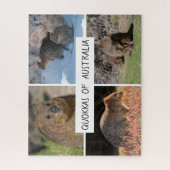 かわいいQuokka動物の野生動物オーストラリア， 520個 ジグソーパズル (縦)