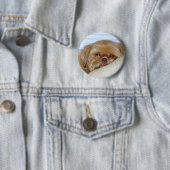 かわいいShitzu 缶バッジ (インサイチュ)