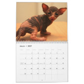 かわいいsphynxの子ネコが付いているカレンダー カレンダー (3月 2027)