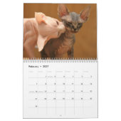 かわいいsphynxの子ネコが付いているカレンダー カレンダー (2月 2027)
