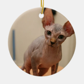 かわいいsphynxの子ネコ"私はfurlessです、そうですね? " セラミックオーナメント