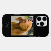 かわいいVizsla写真 iPhoneケース (裏面横)