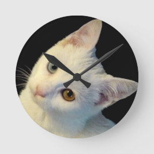 かわいいWhite TurkishヴァンKitten Clock ラウンド壁時計