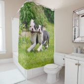 かわいおもしろいいボストン·テリアー犬の子犬遊たち- シャワーカーテン (インサイチュ)