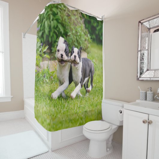かわいおもしろいいボストン·テリアー犬の子犬遊たち- シャワーカーテン (インサイチュ)