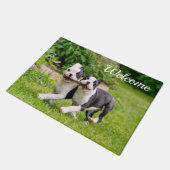 かわいおもしろいいボストン·テリアー犬の子犬遊たち- ドアマット (アングル)