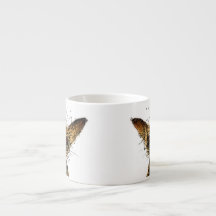 かわいくおもしろいで小さいミニチュア犬