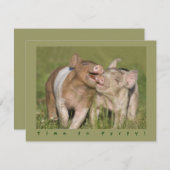 かわいくおもしろいなコブタの誕生会 招待状 (正面/裏面)