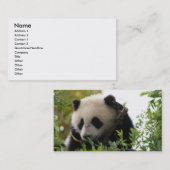 かわいくおもしろいなパンダの名刺 名刺 (正面/裏面)