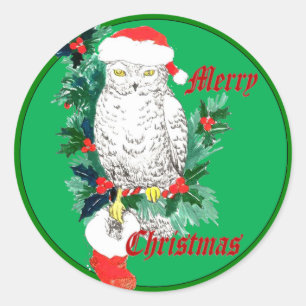 かわいくお洒落な野性生物のクリスマスのフクロウのストッキング ラウンドシール