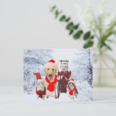 かわいくかおもしろいなペットビジネス休日の顧客の郵便はがき シーズンポストカード (スタンド正面)