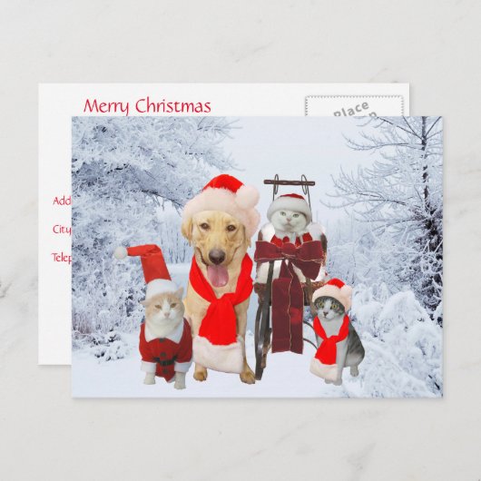 かわいくかおもしろいなペットビジネス休日の顧客の郵便はがき シーズンポストカード (正面/裏面)