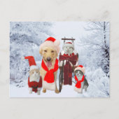 かわいくかおもしろいなペットビジネス休日の顧客の郵便はがき シーズンポストカード (正面)