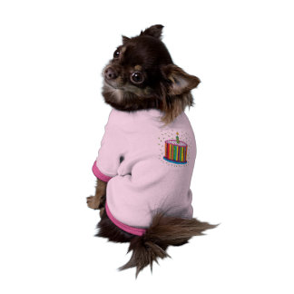 かわいくカラフルな誕生会のケーキ ペット服