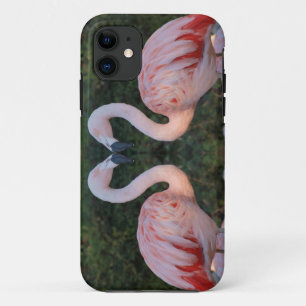 かわいくキスをするなフラミンゴの写真撮影 iPhone 11 ケース