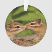 かわいくキスをするなベビーのシマリス オーナメント (正面)