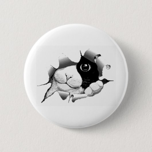 かわいく好奇心が強く卑劣な猫の子ネコのグラフィック 缶バッジ (正面)