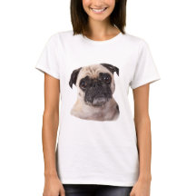 かわいく小さいパグ犬