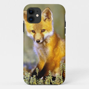 かわいく小さいベビーのアカギツネ iPhone 11 ケース
