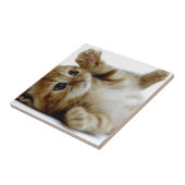 かわいく小さい子ネコ猫ペットショウガの虎猫 タイル (側面)