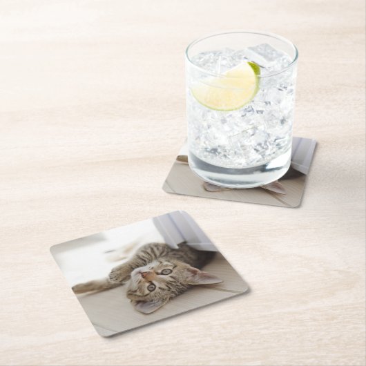 かわいく小さい子ネコ スクエアペーパーコースター (インサイチュ)