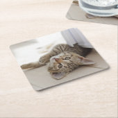かわいく小さい子ネコ スクエアペーパーコースター (アングル)