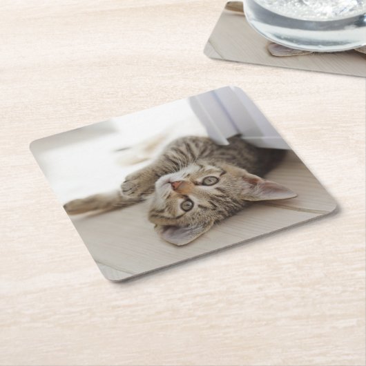かわいく小さい子ネコ スクエアペーパーコースター (アングル)