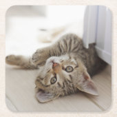 かわいく小さい子ネコ スクエアペーパーコースター (正面)