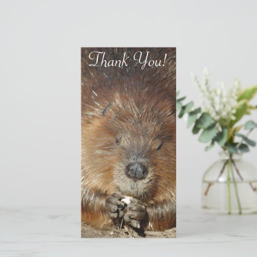 かわいく小さい足からのブラウンのビーバーの少量の食糧 サンキューカード (スタンド正面)